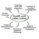 MAEZ legacy graphic: Managing Your CoR Safety System 1