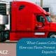 MAEZ legacy graphic: what cause